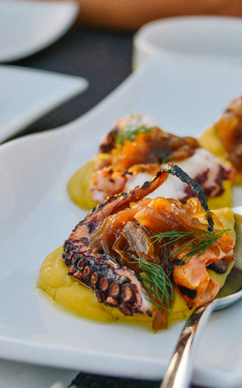 Greek-Gastronomy-2_1920x1080-1