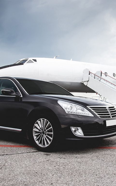 VIP transportations_955x845
