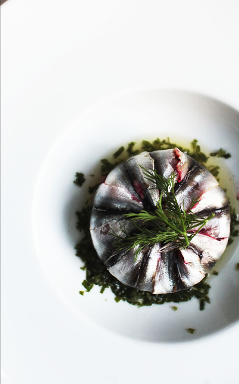 Greek Gastronomy